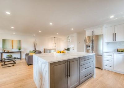 Major Renovation | Kitchen & Living Area